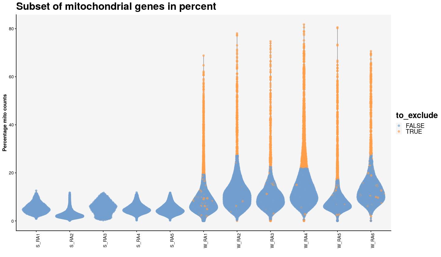 percentage mitochondrial counts per sample, each dot is a cell